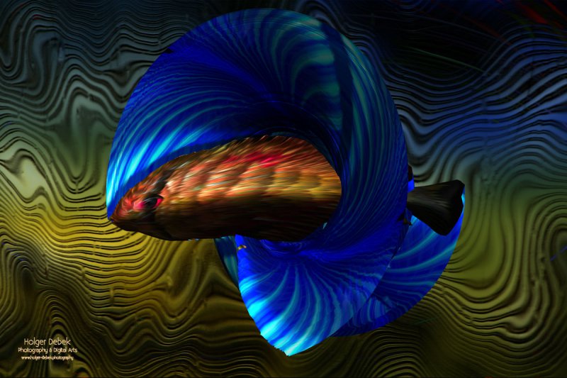 Digital Art - Fish3