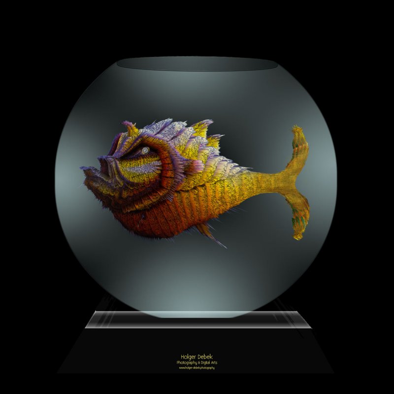 Digital Art - The fish