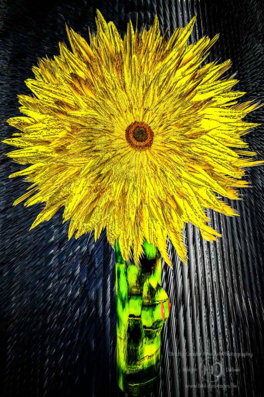 Digital Art - themotherofallsunflowers